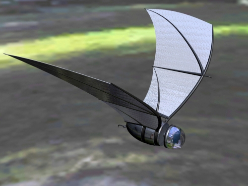 Fledermaus Spionage