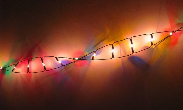 DNA Bild