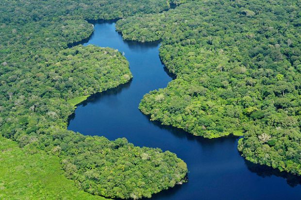 Foto:  Aerial view of the Amazon Rainforest, CIFOR, Flickr, CC BY-SA 2.0