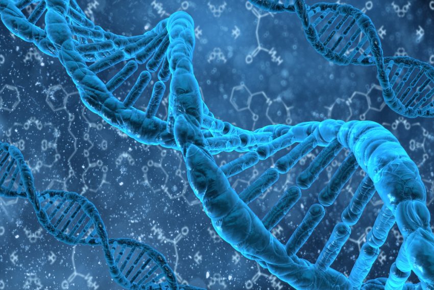 DNA als Speicher der Zukunft: So passen alle Daten der Erde in einen