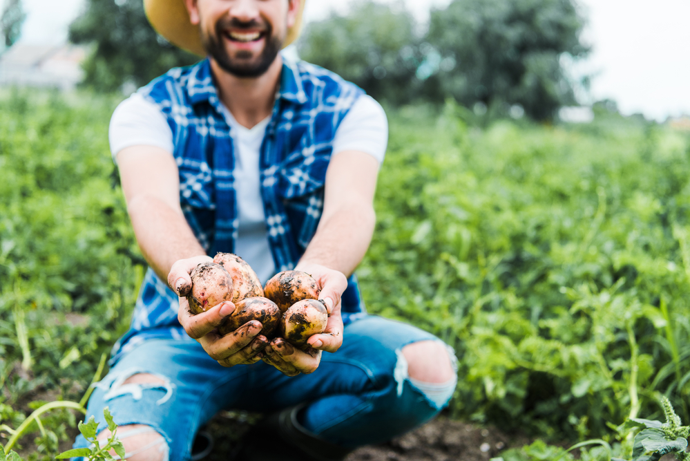 Carbon Farming Erste Landwirtschaftspioniere binden gezielt CO2 im Boden