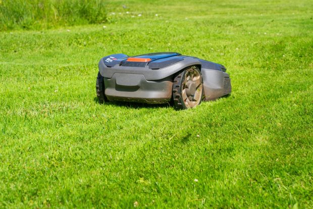 Mähroboter Symbolbild